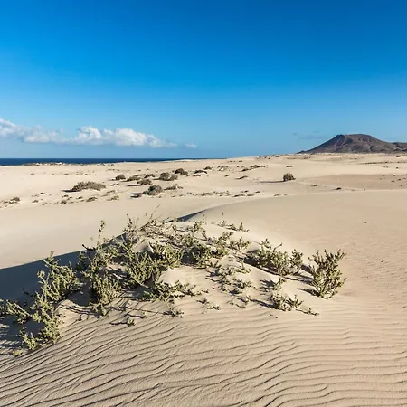 Home2book Luxury Pool & Terrace, Villa *